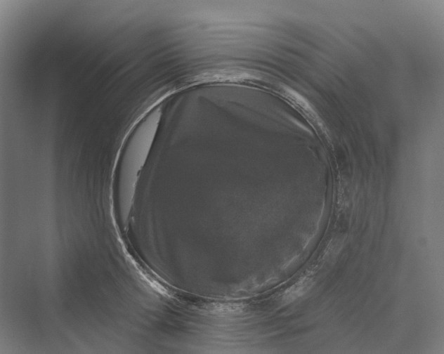 X0000069790802200606021412