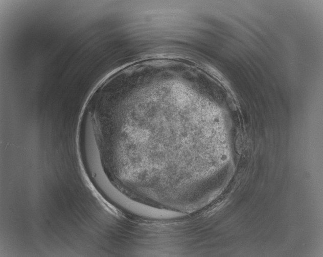 X0000069790803200606021412