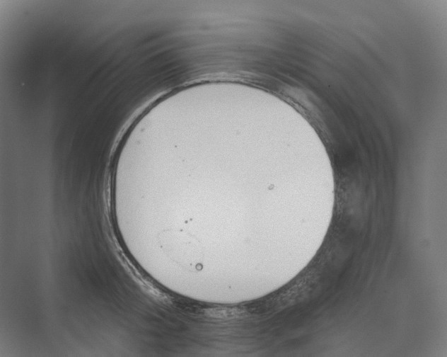 X0000069790804200606021412