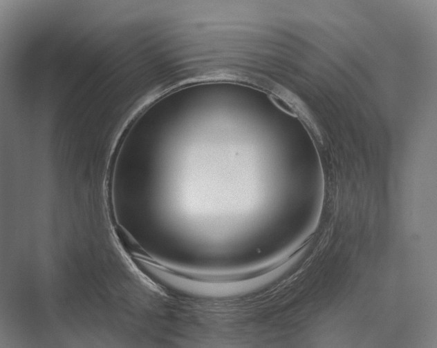 X0000069790805200606021412