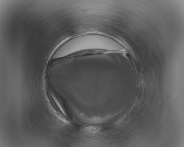 X0000069790806200606021412