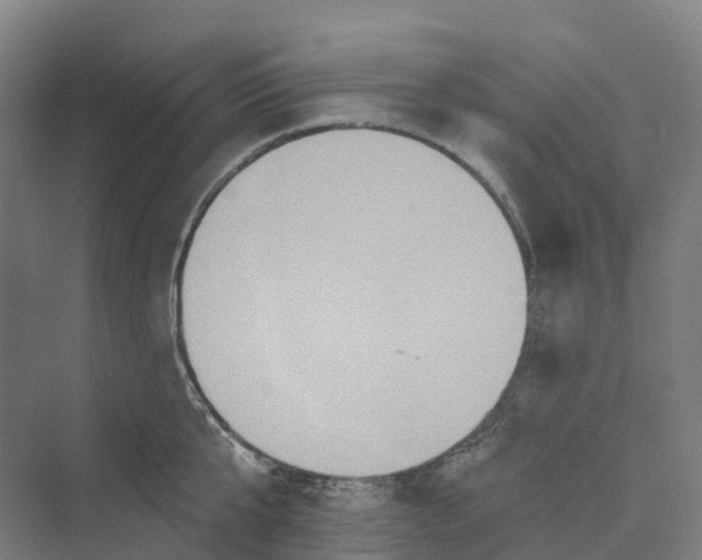 X0000069790807200606021411