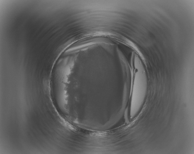 X0000069790810200606021411