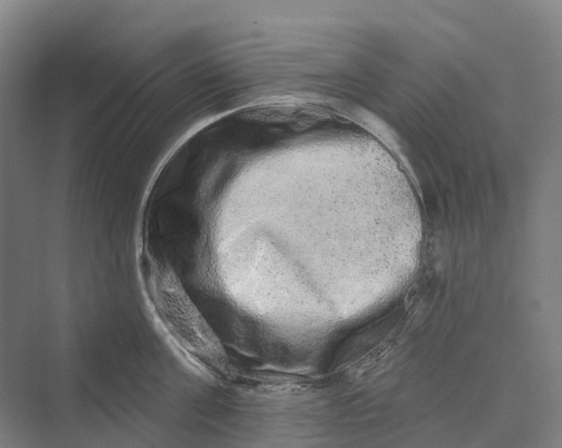 X0000069790811200606021411