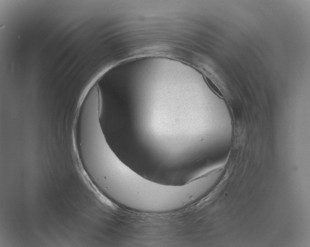 X0000069790812200606021411