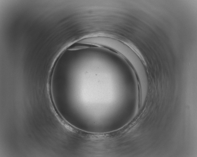 X0000069790813200606021411