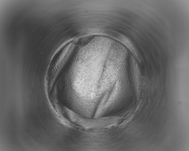 X0000069790814200606021411