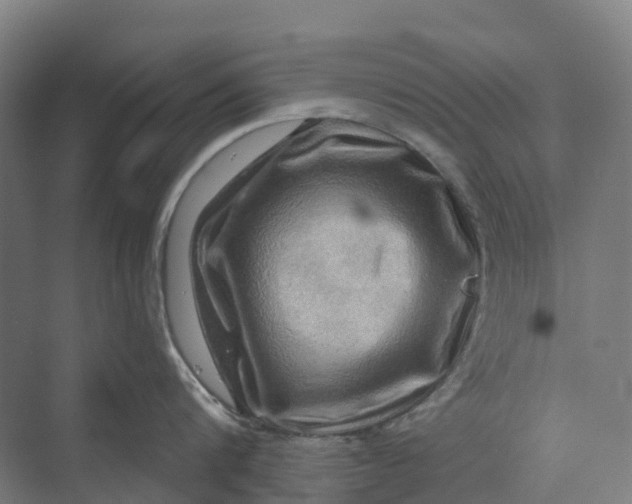 X0000069790816200606021411