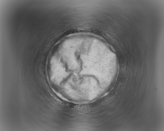 X0000069790817200606021411