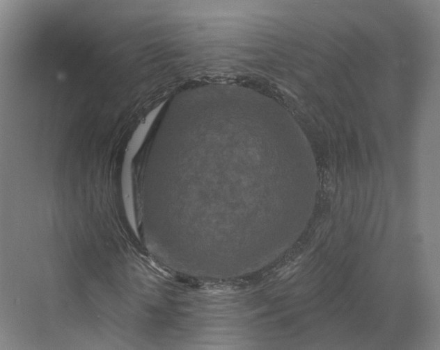 X0000069790818200606021411