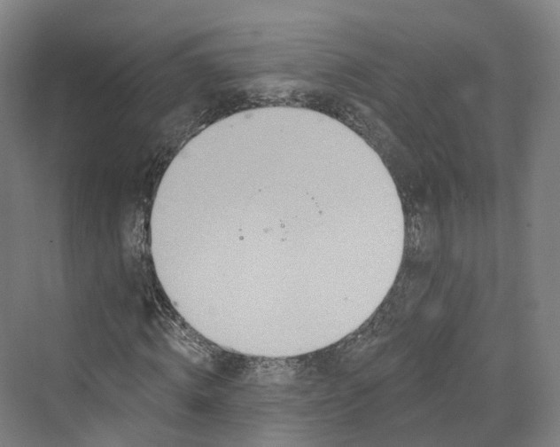 X0000069790820200606021411