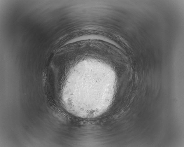 X0000069790821200606021411