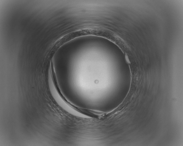 X0000069790822200606021411