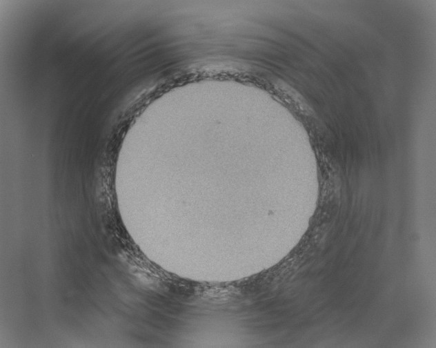 X0000069790824200606021411