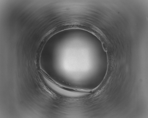 X0000069790826200606021411