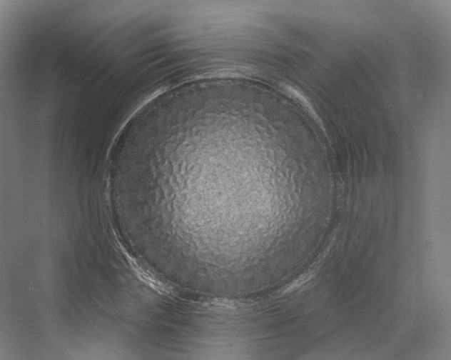 X0000069790827200606021411