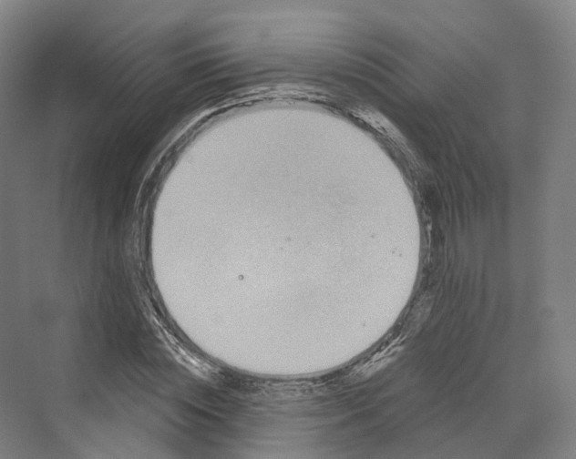 X0000069790828200606021411