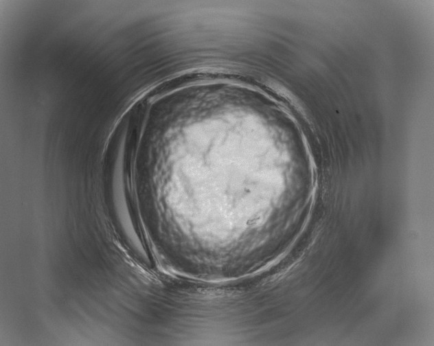 X0000069790829200606021411