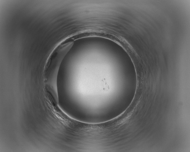 X0000069790830200606021411