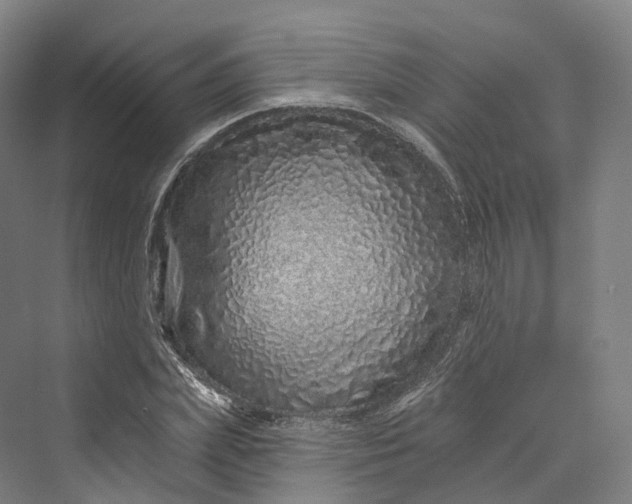 X0000069790831200606021411