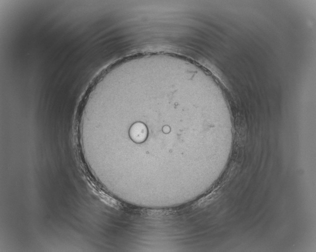 X0000069790832200606021411