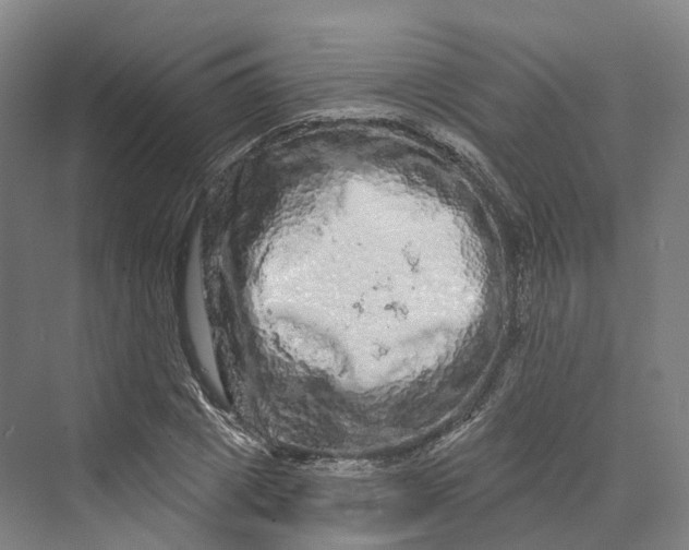 X0000069790833200606021411