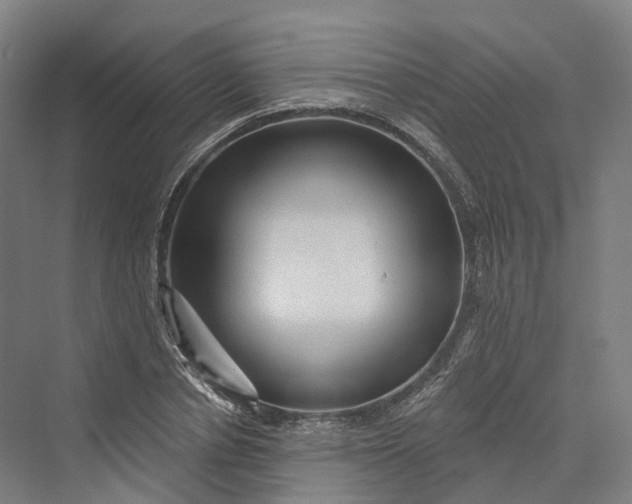 X0000069790834200606021411