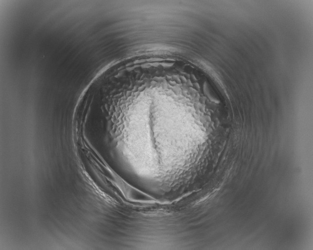 X0000069790835200606021411