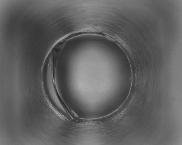 X0000069790838200606021411