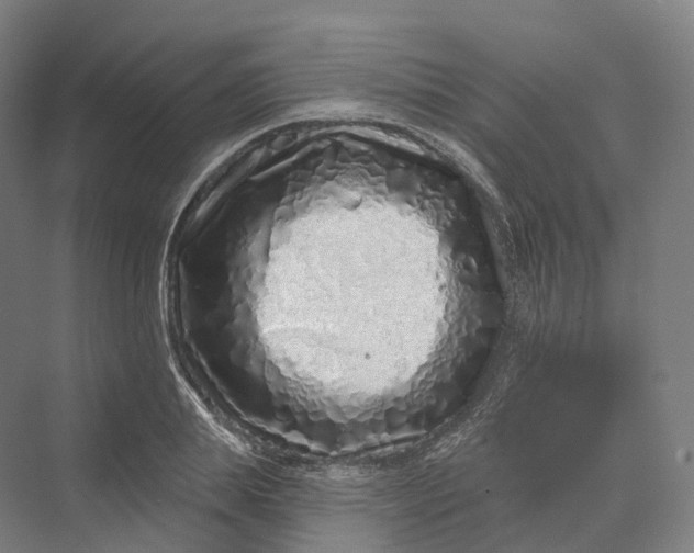 X0000069790839200606021411