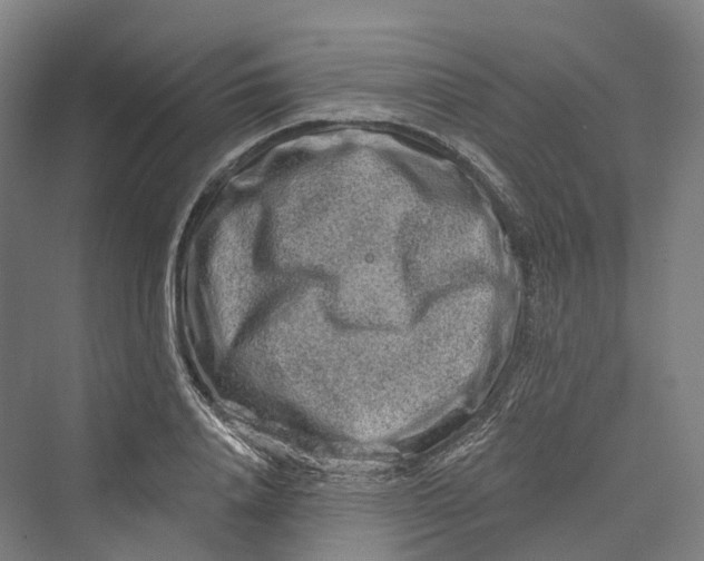 X0000069790840200606021411