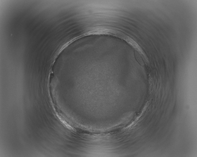 X0000069790842200606021411