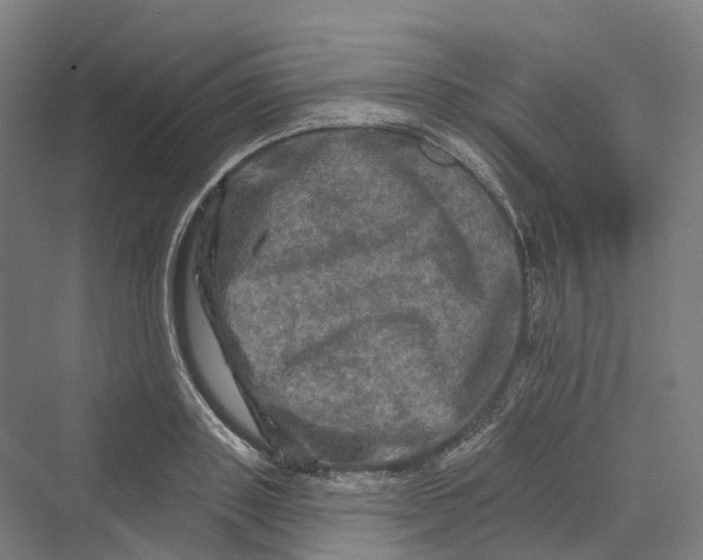 X0000069790843200606021411