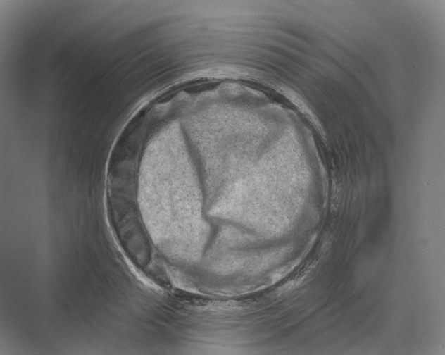 X0000069790845200606021411