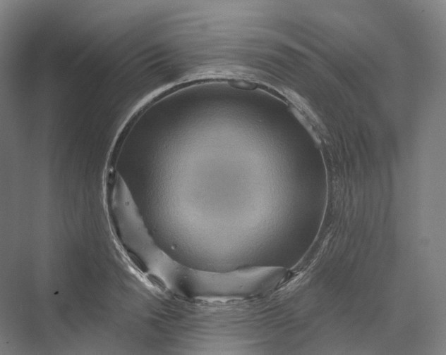 X0000069790846200606021411