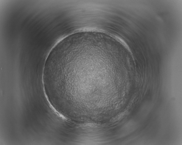 X0000069790847200606021411