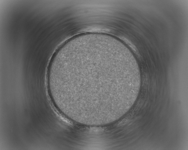 X0000069790848200606021411