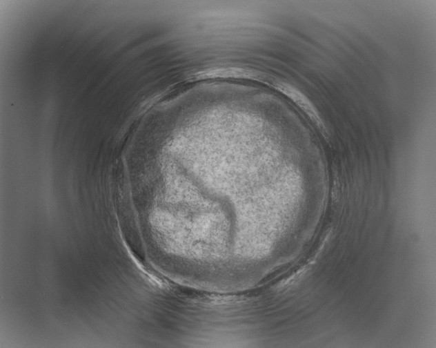 X0000069790849200606021411