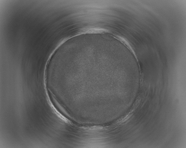 X0000069790851200606021411