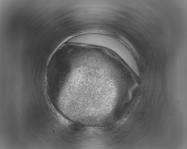 X0000069790852200606021411