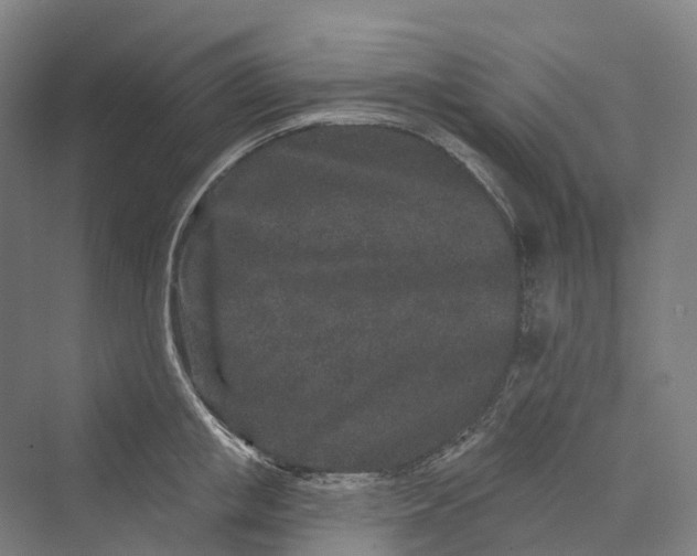 X0000069790853200606021411