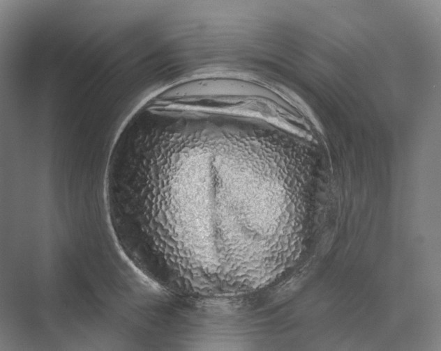 X0000069790855200606021411