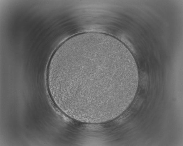 X0000069790856200606021411