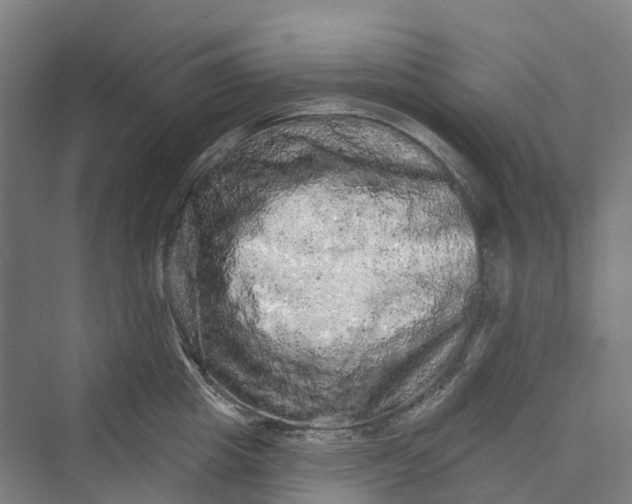 X0000069790857200606021411