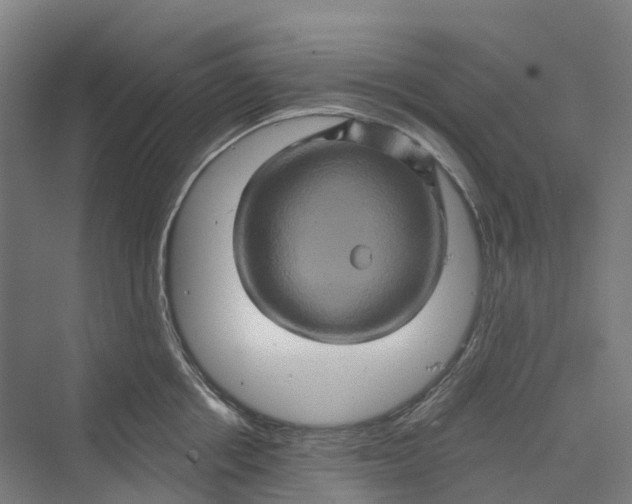 X0000069790858200606021411