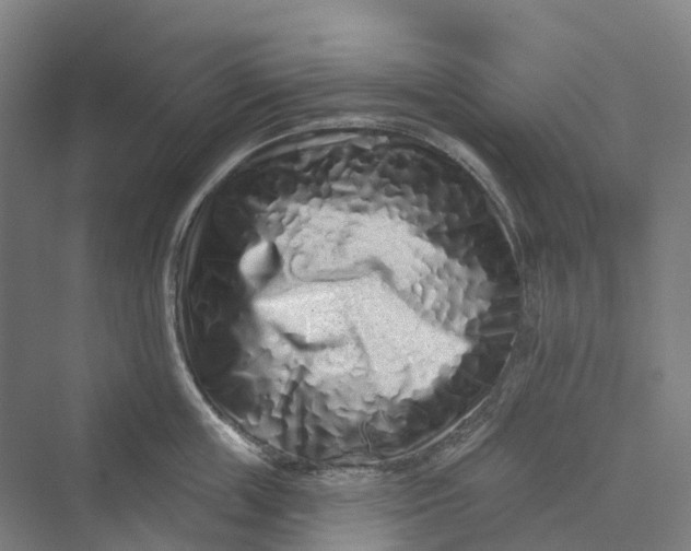 X0000069790859200606021411