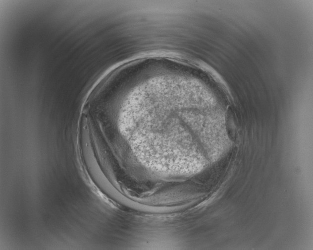 X0000069790860200606021411