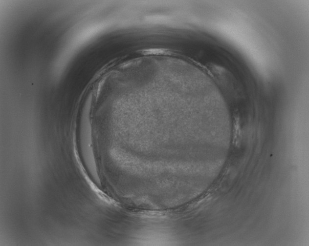 X0000069790861200606021411