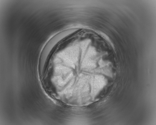 X0000069790863200606021411