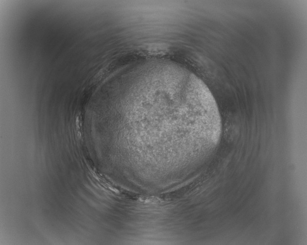 X0000069790866200606021410